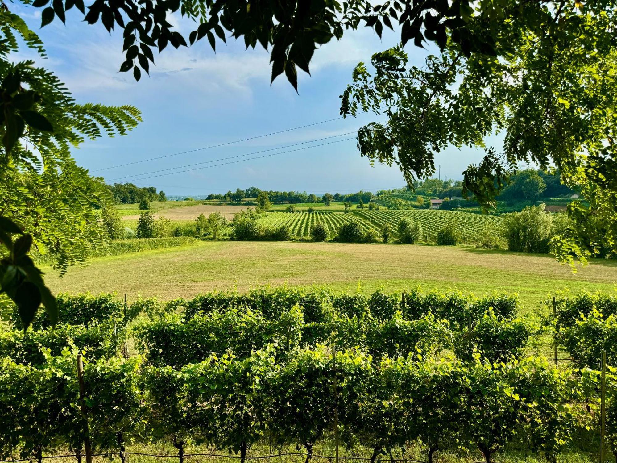 Residenza Le Vigne Ferienhaus